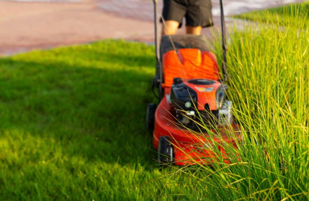 Man Mows A Lawn With A Lawn Mower In The Morning At Dawn